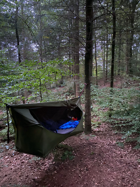 Camp Viv, i hængekøjen i skoven.